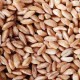 Vita-Spelt Kernels (1x25LB )