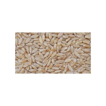 Grains Wheat Whole Soft Whi (1x50LB )
