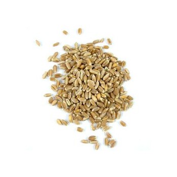 Grains Wheatberries (1x50LB )