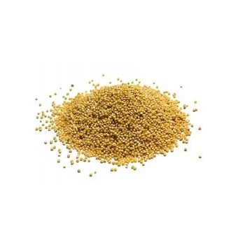 Grains Hulled Millet (1x50LB )