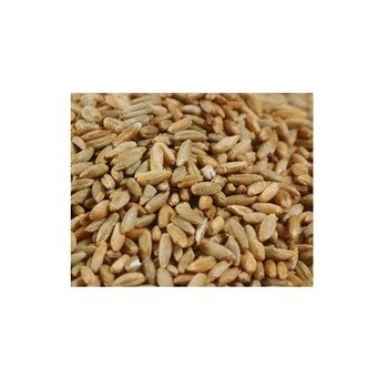 Grains Rye Berries (1x25LB )