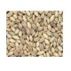 Grains Hulless Barley (1x25LB )