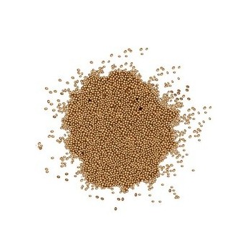 Grains Amaranth Grain (1x25LB )