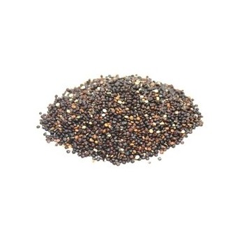 Grains Black Quinoa (1x25LB )