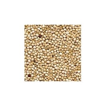 Grains Quinoa Bulk (1x25LB )