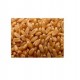 Grains Og1 Hard Spring Wheat (1x50Lb)