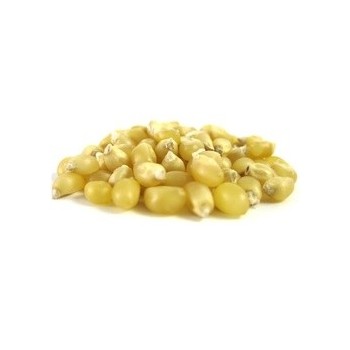 Grains White Popcorn (1x25LB )