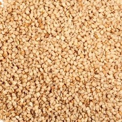 Seeds Nat Brown Sesame Seed (1x25LB )