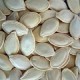 Seeds Pumpkin Seeds, Usa (1x27.5LB )