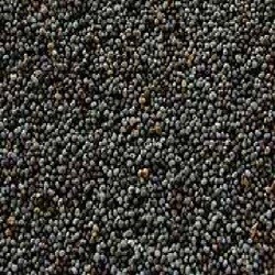Seeds Poppy Seeds (1x5LB )