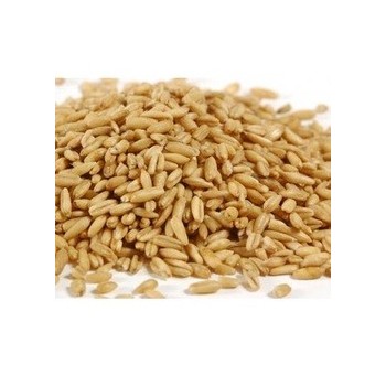 Grains Whole Oat Groats (1x25LB )