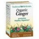 Traditional Medicinals Ginger Tea (6x16 Bag)